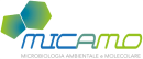 Logo MICAMO